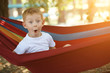 Cheerful little boy in hammock amazedly looking in a pine forest, delight emotion