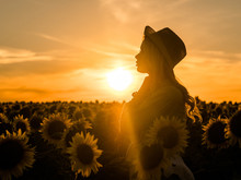 Silhouette Of Young Beautiful Blonde Woman Standing In Sunflower Field. Sunset Background. Sexy Sensual Portrait Of Girl In Straw Hat And White Summer Dress.