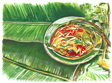 Thai Food Papaya Salad Hand Painting