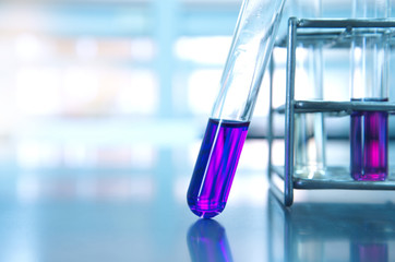 Wall Mural - purple glass test tube and metal rack in medical experiment science laboratory background