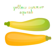 Yellow Summer Squash.