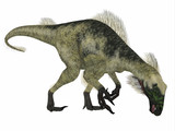 Fototapeta Konie - Beipiaosaurus Dinosaur Side Profile - Beipiaosaurus was a herbivorous theropod dinosaur that lived in China in the Cretaceous Period.