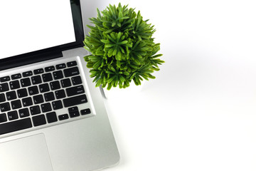 Top view laptop and plant in white pot on white isolated background, business concept