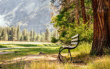 Garden Bench On The Hiking Trail In The Camping In The Yosemite National Park