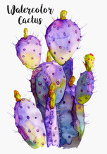 Watercolor Tropical Drawing With Cactus