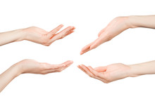 Woman Hands Holding, Showing, Giving Or Supporting Something Set