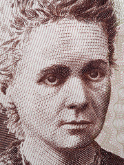 Marie Curie portrait Poland 20 Zlotych banknote close up macro. Famous scientist (chemistry and physics), pioneer in research of radioactivity, Nobel Prize winner.