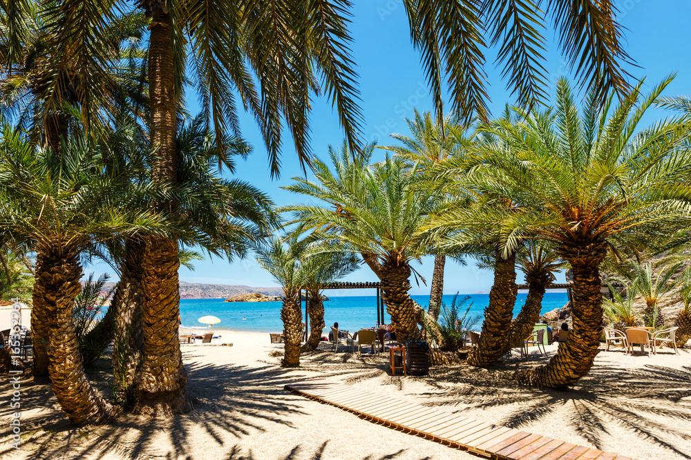 Obraz na płótnie Famous beach at Vai with a beautiful palm forest on east Crete, Greece w salonie