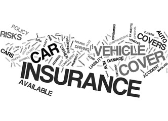 AUTO INSURANCE WHICH TYPE IS RIGHT FOR YOU Text Background Word Cloud Concept