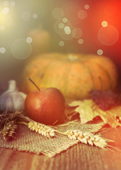 autumn dark scene with pumpkins, red apple, garlic, leaf, straw on wooden table, fall background