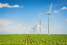 Wind Farm And Countryside Corn Field, Agriculture Industry