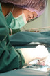 © nimon_t - veterinarian surgeons in operating room