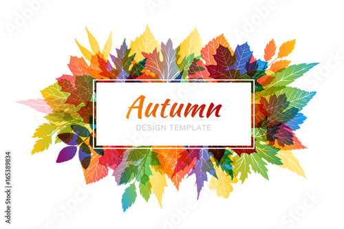 Autumn Banner White Horizontal Frame With Colorful Various Leaves