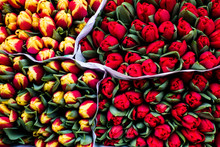 Bunches Of Tulips On Display For Sale In Street Market