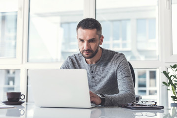 Wall Mural - Confident pleasant manager with stubble is laboring on computer