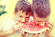© sakkmesterke - Little caucasian kids eating watermelon outdoor vintage