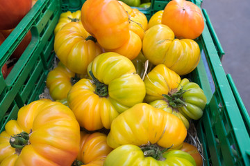 Poster - Organic fresh yellow tomatoes 