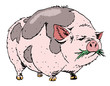 Cartoon image of huge pig. An artistic freehand picture.