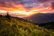 Amazing colors of sunrise over the mountains, nature summer landscape with mountain range and green fresh fern