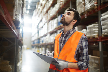 Wall Mural - Portrait of warehouse worker looking up the tall shelves doing inventory control