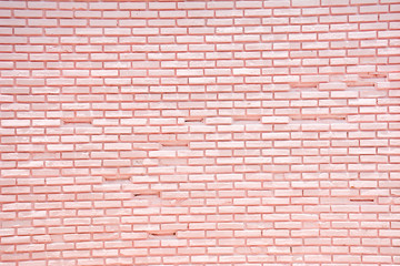 Canvas Print - Brick wall pink background