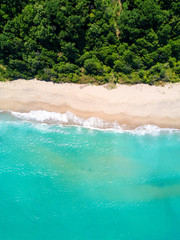 Wall Mural - Aerial view of sandy beach and ocean