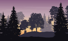Vector Illustration Of Mountain Landscape With Forest And Trees Under Purple Sky At Sunrise