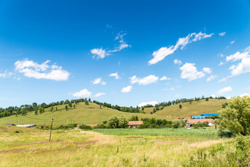 Wall Mural - green field