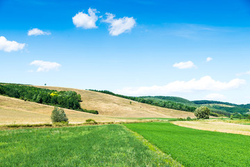 Wall Mural - green field