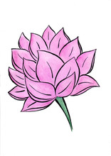Lotus Flower Watercolor Hand-drawn Painting