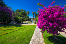 Sanremo Promenade With Garden, Mediterranean Coast, Italian Riviera
