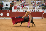 corrida novillada