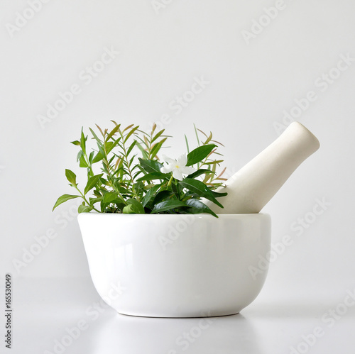 Fotografie, Obraz Alternative herbal medicine, Mortar with healing botanical herbs.