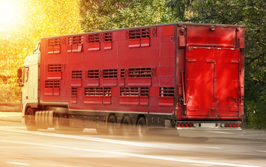 Back of American cargo truck