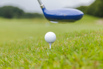 Canvas Print - Golf club and golf ball on golf course