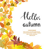 Fototapeta  - Beautiful autumn background with falling leaves. Place for text. Hello Autumn vector illustration.