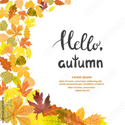 Beautiful autumn background...