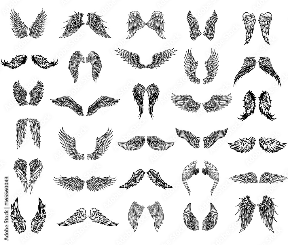 Thirty pairs of wings, graphic illustration - obrazy, fototapety, plakaty 