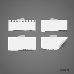 Wall Mural - Collection of various white note papers, ready for your message. Vector illustration