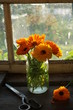 © Юлия Коченкова - Bouquet of calendula