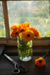 © Юлия Коченкова - Bouquet of calendula
