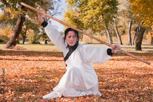 Plakat Mistrz Kung Fu z kijem