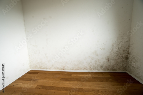 New And Empty Apartment With Wood Floor And White Wall And A