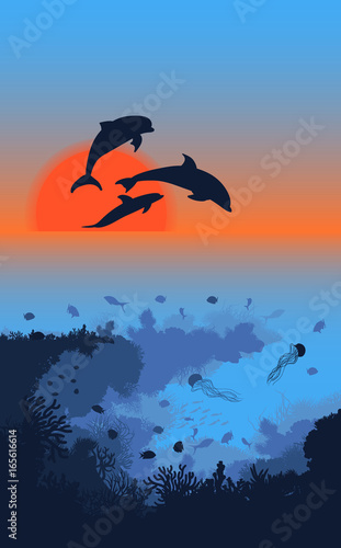 Marine Life Landscape Template