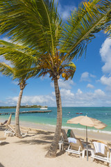 Wall Mural - Beach vacation background scenic landscape at the sea with palm trees and blue teal water