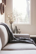 © Jodie Johnson - Beatutiful inviting sofa with throw rug and soft window light behind
