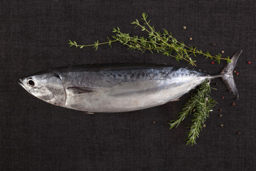 Canvas Print - Fresh tuna fish from above.