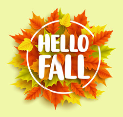 Wall Mural - hello fall text vector banner design with yellow and orange autumn maple leaves and circle frame in 
