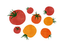 Set Of Hand Drawn Tomatoes On The White Background. Stylized Food Illustration