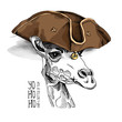 Giraffe in a Leather Pirate hat. Vector illustration.